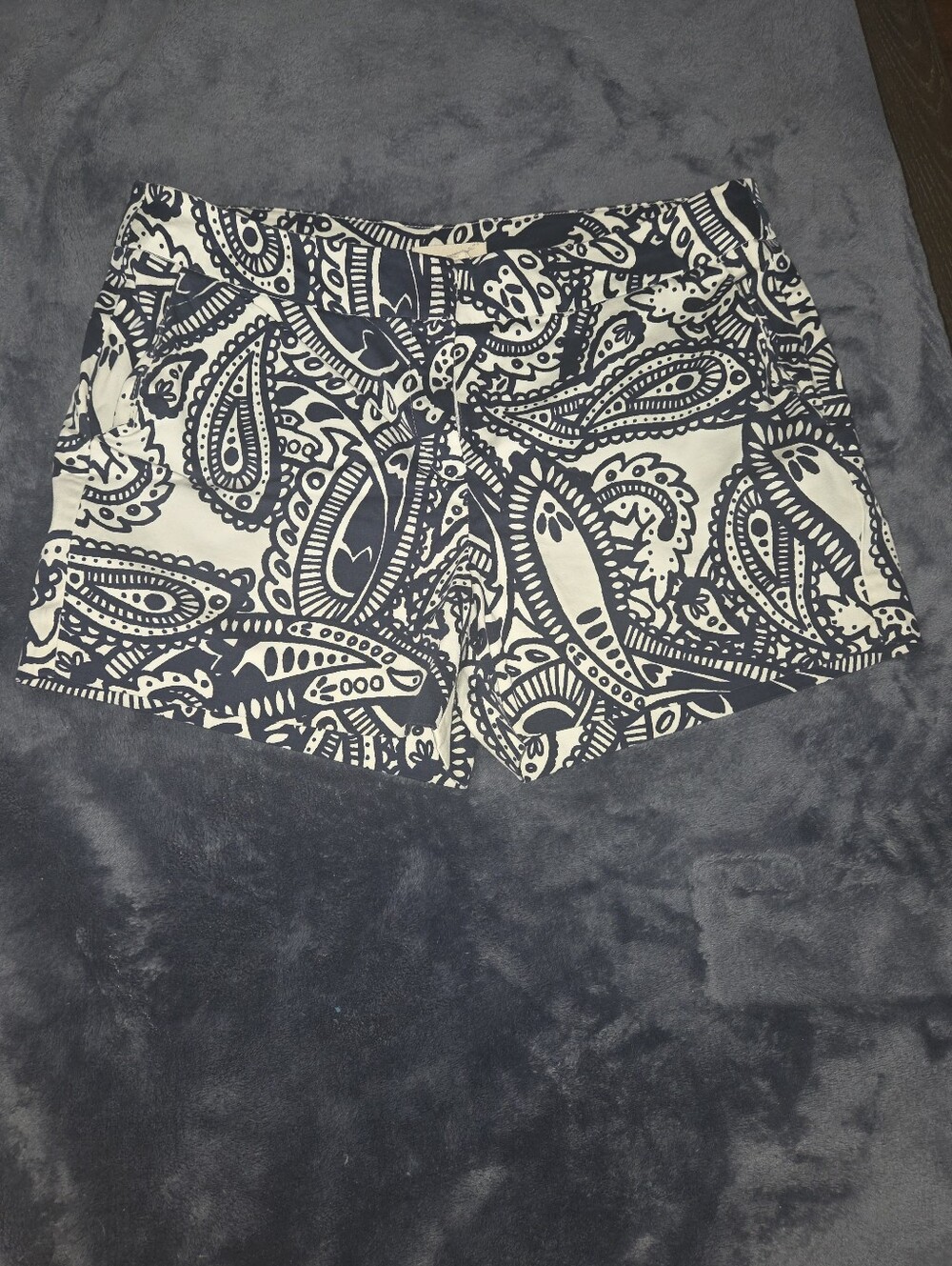Kenji shorts from Anthropologie in Navy and White